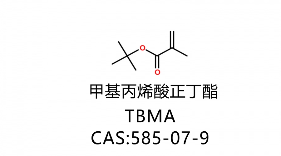 甲基丙烯酸叔丁酯 TBMA